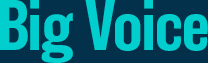 BigVoice